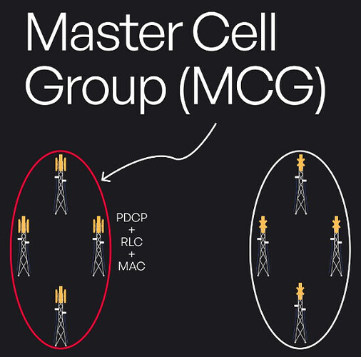 Master Cell Group (MCG)