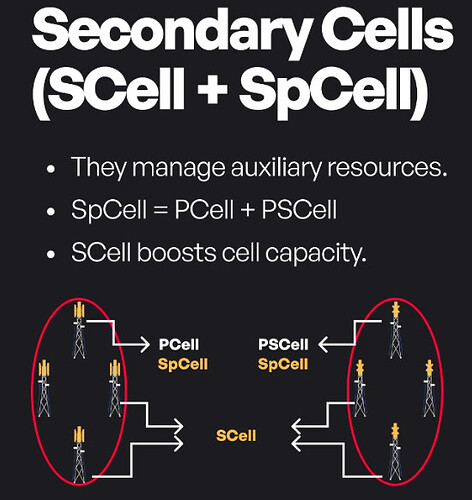 Secondary Cells (SCell + SpCell)